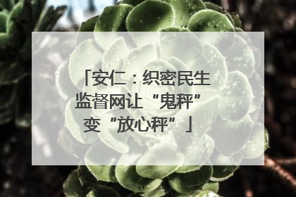 安仁：织密民生监督网让“鬼秤”变“放心秤”